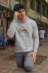 Regular Fit Unisex hoddie with "Ironic" Print