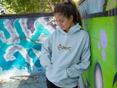Regular Fit Unisex hoddie with "Ironic" Print